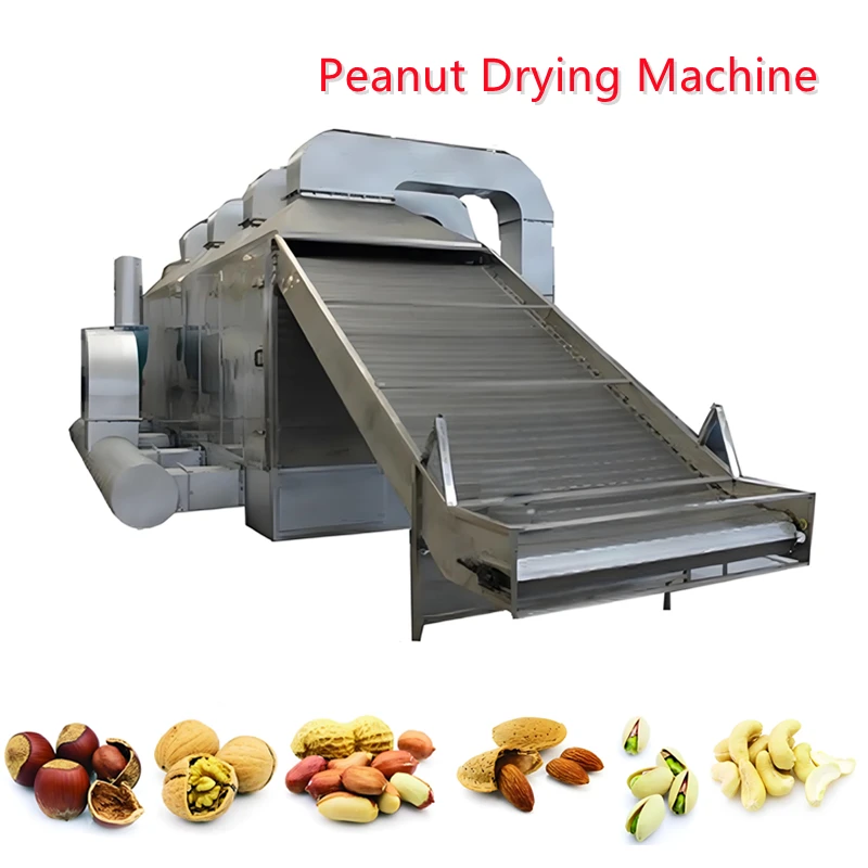 Food Dryer Machine