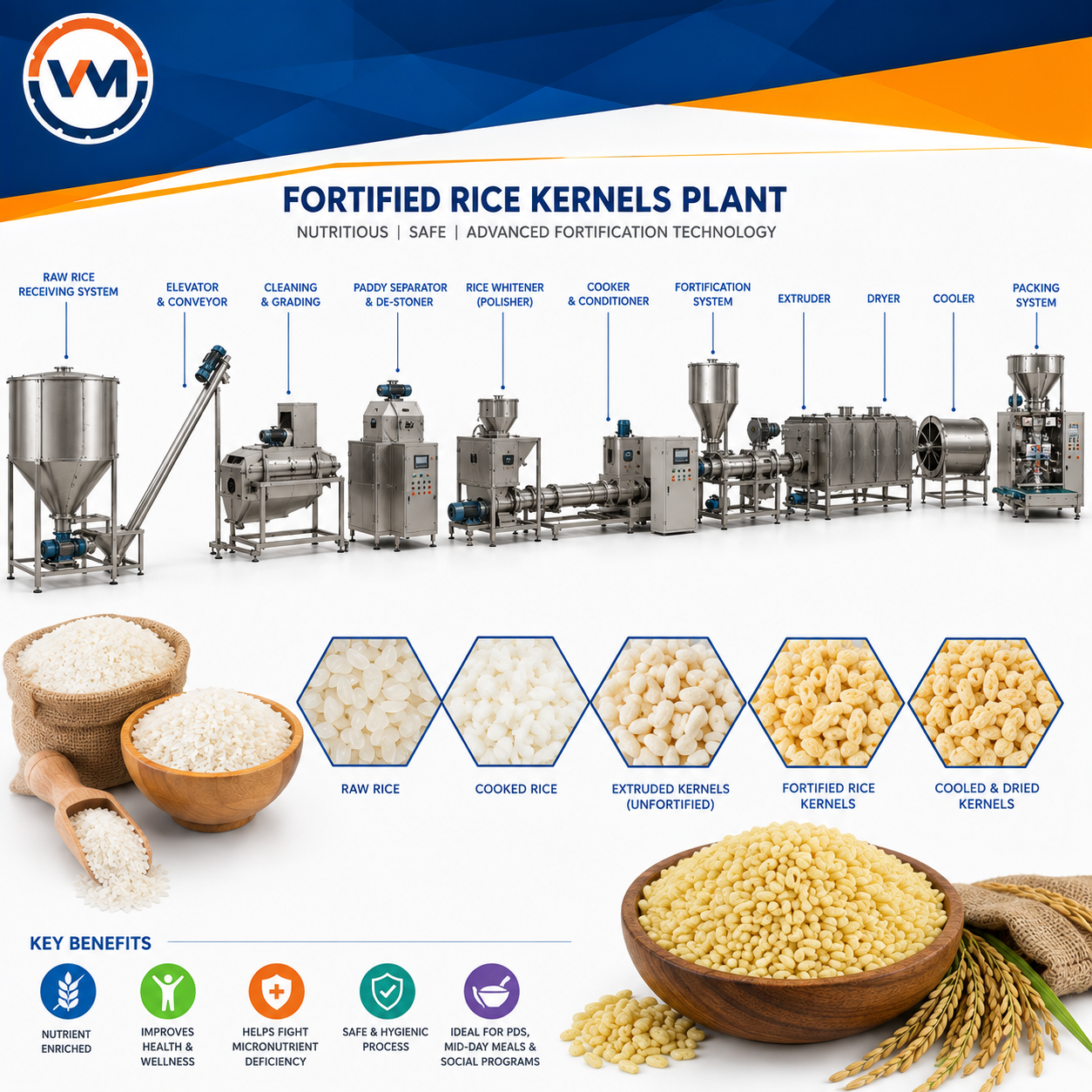 Fortified Rice Kernels Plant